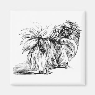 Imán de Pekingese
