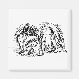 Imán de Pekingese