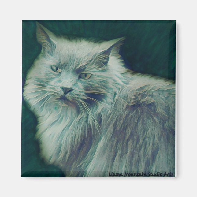 Imán de peluca verde para gato estilizado #1 (Frente)