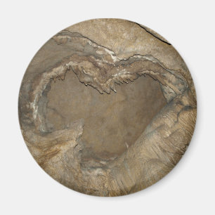 Imán de Pennsylvania de la cueva de Penn "corazó