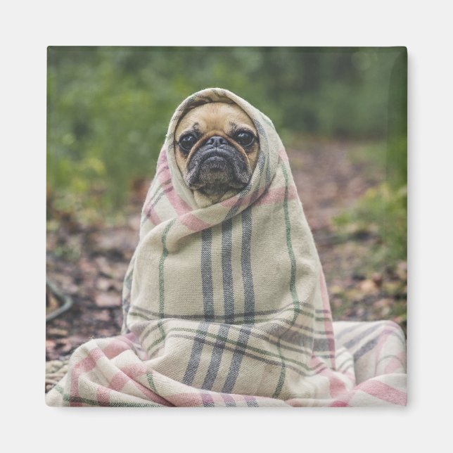 Imán de perro 2 (Frente)