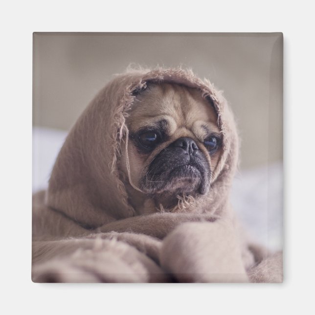 Imán de perro 3 (Frente)