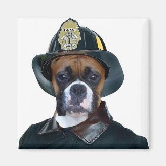 Imán de perro boxeador de bombero