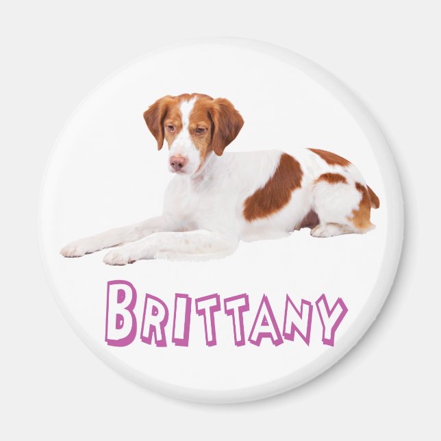 Imán de perro cachorro Brittany Spaniel Amor (Frente)