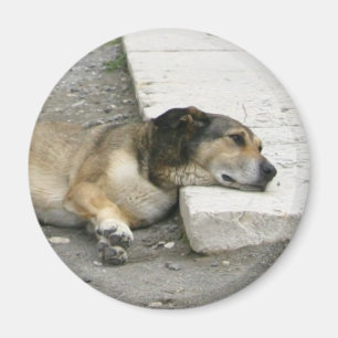 Imán de perro cansado, personalizar