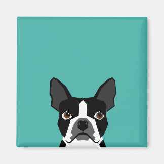 Imán de perro del Boston Terrier