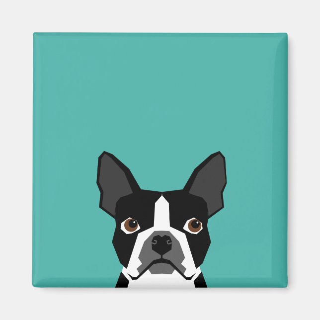 Imán de perro del Boston Terrier (Frente)