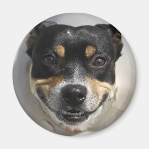 Imán de perro sonriente