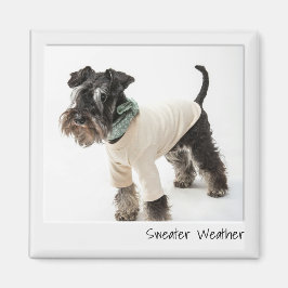 Imán de Personalizado de cámara instantánea para e