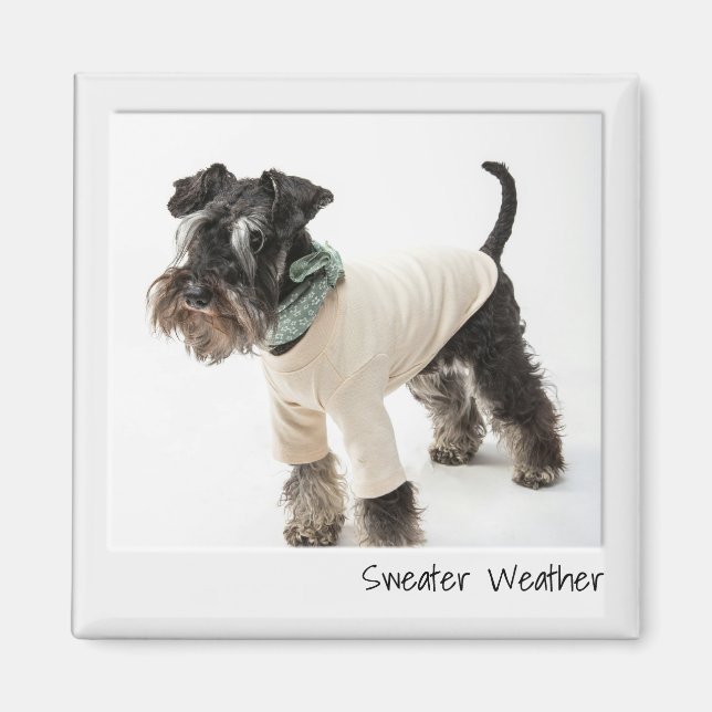 Imán de Personalizado de cámara instantánea para e (Frente)