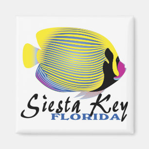 Imán de pescado tropical Siesta Key Florida