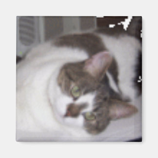 imán de peso de papel de Kitty