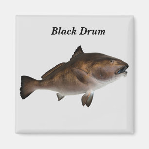 Imán de pez drum negro