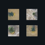 Imán De Piedra Piña de playa de acento tropical (Set 1)<br><div class="desc">Fotografía con acento tropical piña en el personalizado de playa Marble Stone Magnet. Personalizar para agregar texto si lo desea.</div>