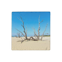 Verano de Playa