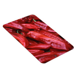 Imán de pimientos calientes rojos