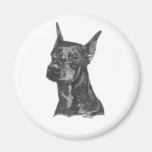 Imán de Pincher del Doberman