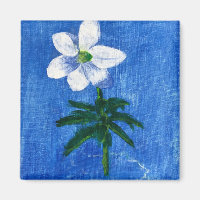 imán de pintura de flores blancas por jamie