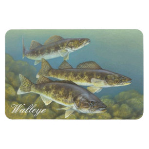 imán de pintura Walleye