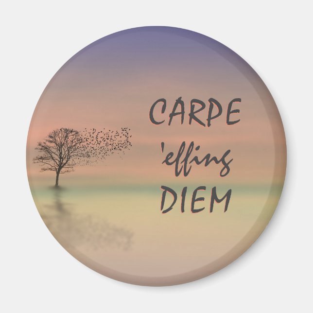 Imán de plantilla CARPE DIEM de oferta inspiradora (Frente)