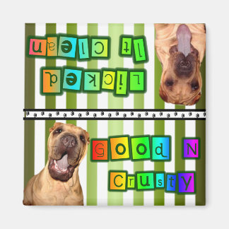 Imán de platos limpios o sucios