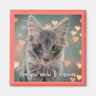 imán de plaza Kitty Love