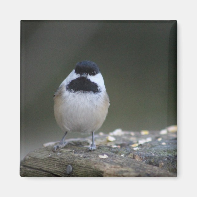 imán de pollo (Frente)