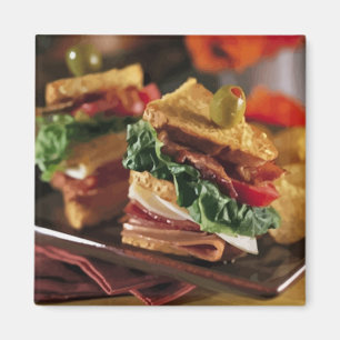 Imán de preguntas sobre sandwich