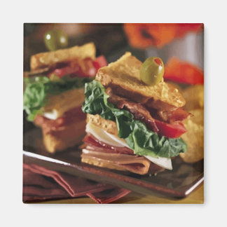 Imán de preguntas sobre sandwich