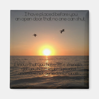 Imán de puertas abiertas