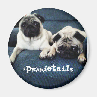 imán de puggietails