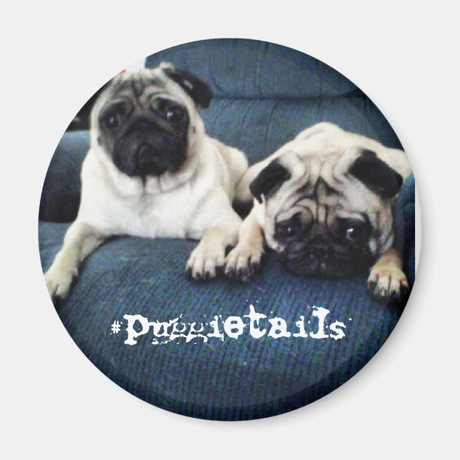 imán de puggietails (Frente)