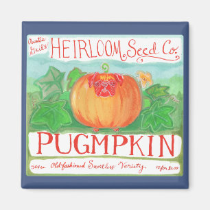 Imán de Pugmpkin