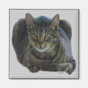 Imán de Purrfect