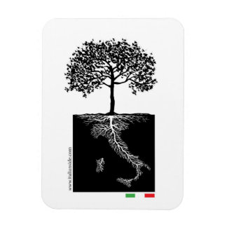 Imán de raíces italianas