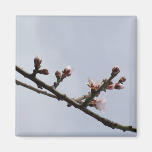 Imán de rama de Blossom