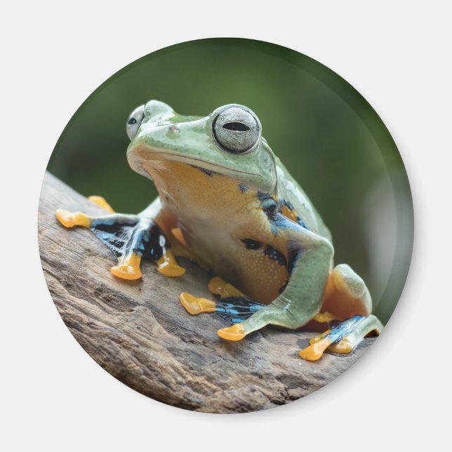 Imán de rana (Frente)