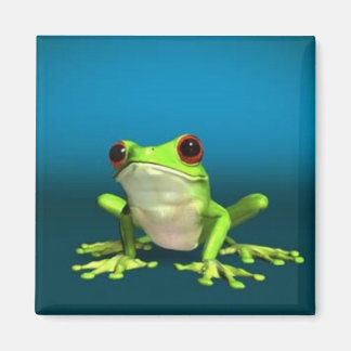 imán de ranas de árbol