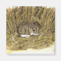 Imán de ratón de campo
