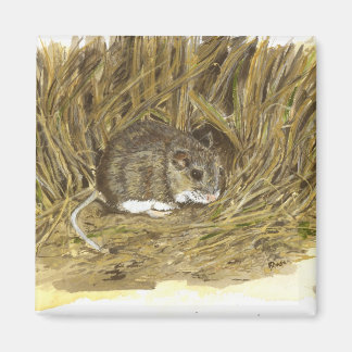 Imán de ratón de campo