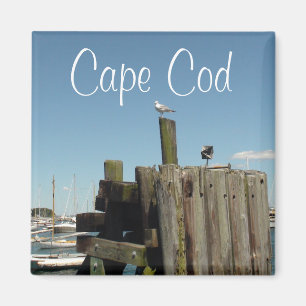 Imán de recuerdo de atardecer en Cape Cod, Massach