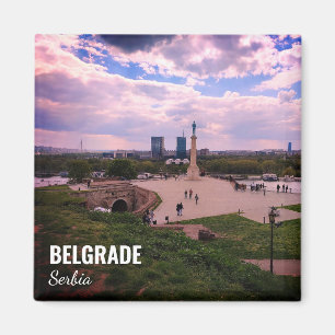 Imán de recuerdo de Belgrado vista desde Kalemegda