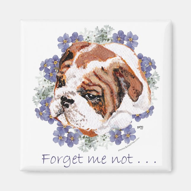 Imán de recuerdo de Bulldog Inglés (Frente)