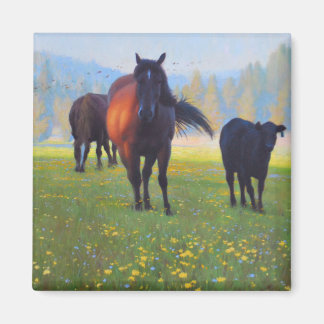 imán de refrigerador de caballos
