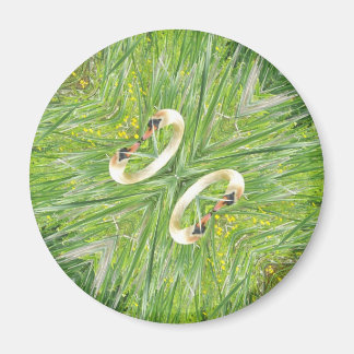 Imán de refrigerador de cuatro cisnes