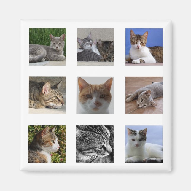 imán de refrigerador de gato (Frente)