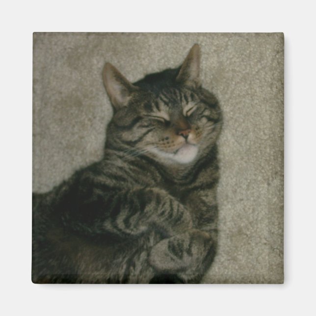 Imán de refrigerador de gato gatito Sleeping Tabby (Frente)
