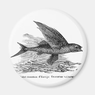 Imán de refrigerador de peces voladores de vintage