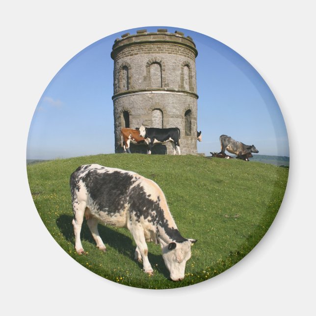 imán de refrigerador del templo de Salomón (Frente)