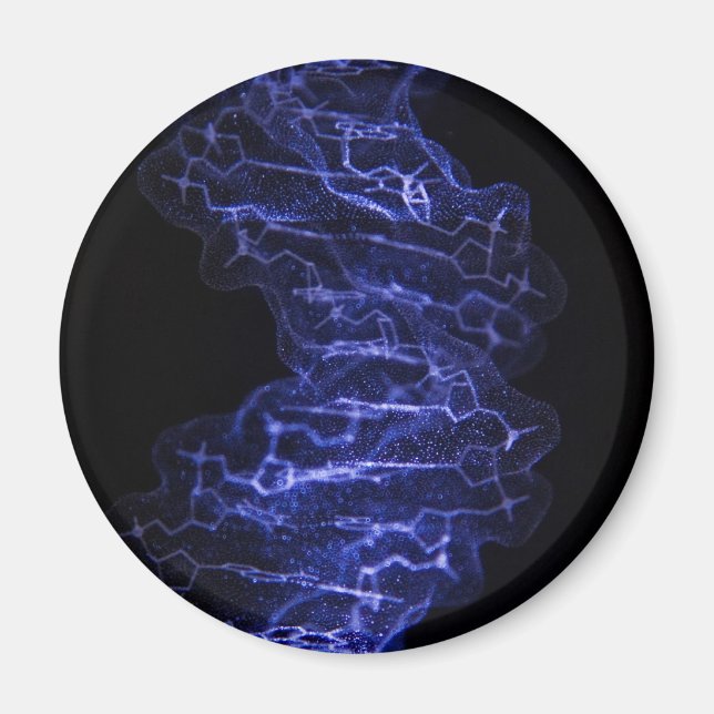 Imán de refrigerador Helix doble de ADN (Frente)